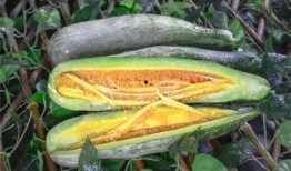 网红请吃瓜,揭秘网络红人的幕后故事